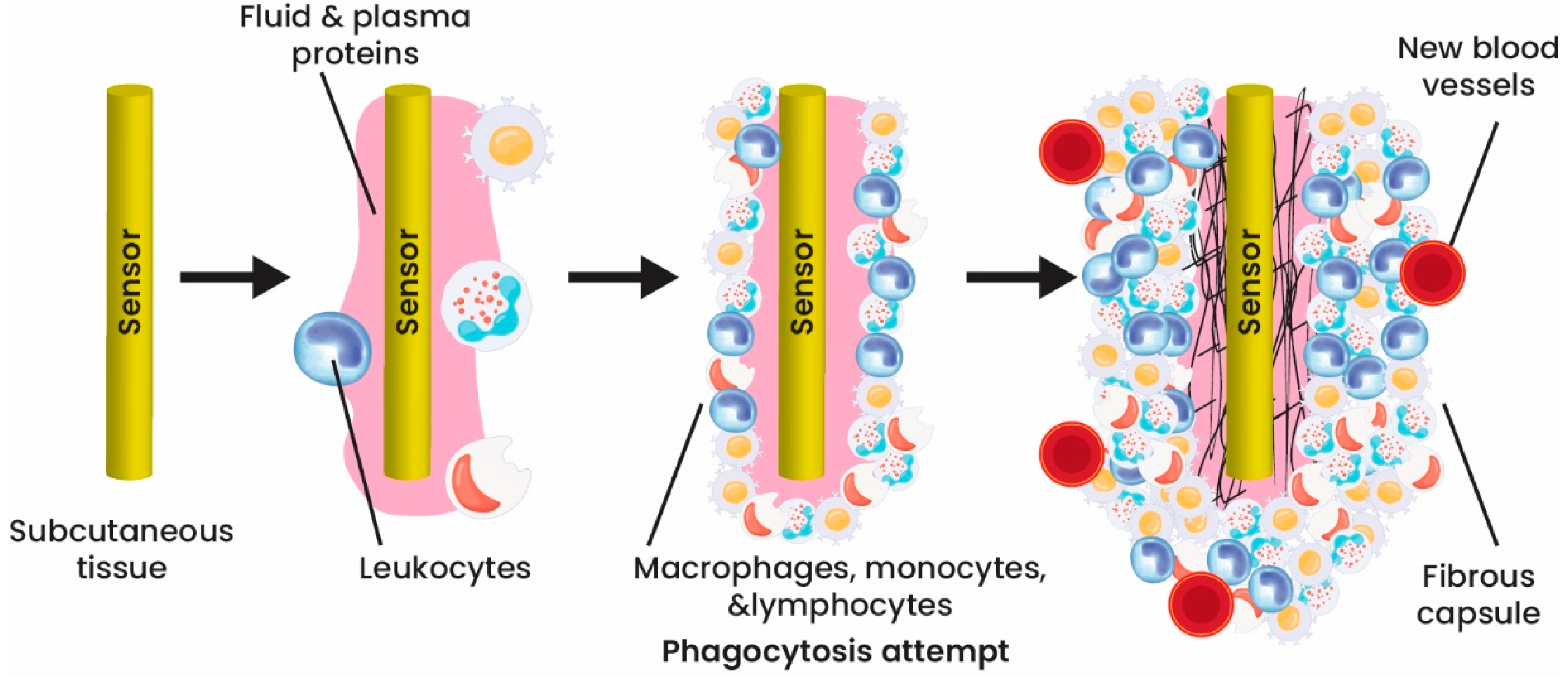 Applsci 13 04630 g004 Applsci 13 04630 g004
