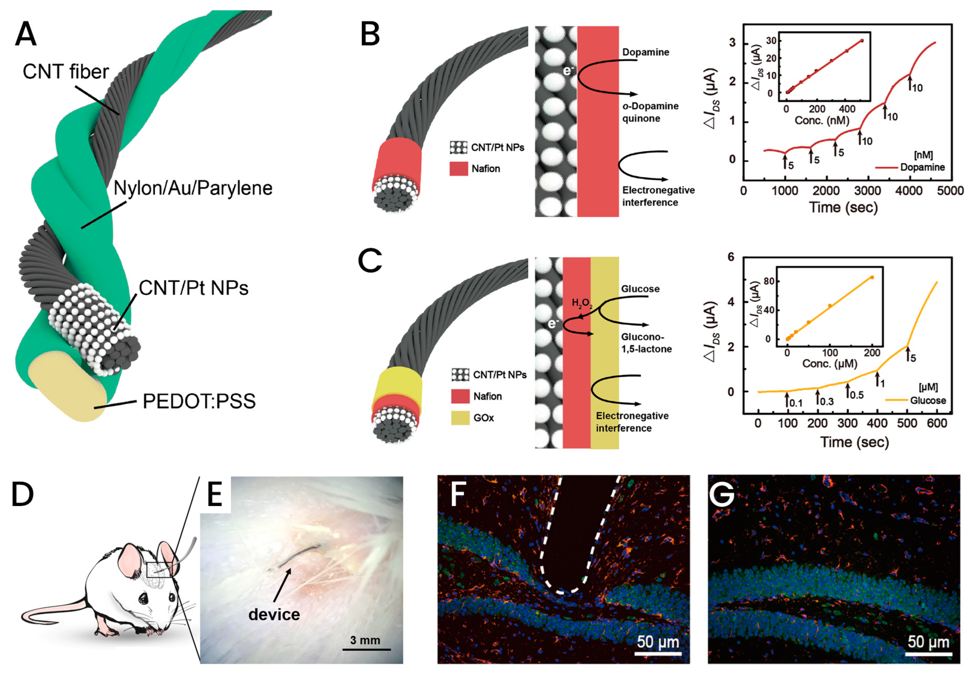 Applsci 13 04630 g006 Applsci 13 04630 g006