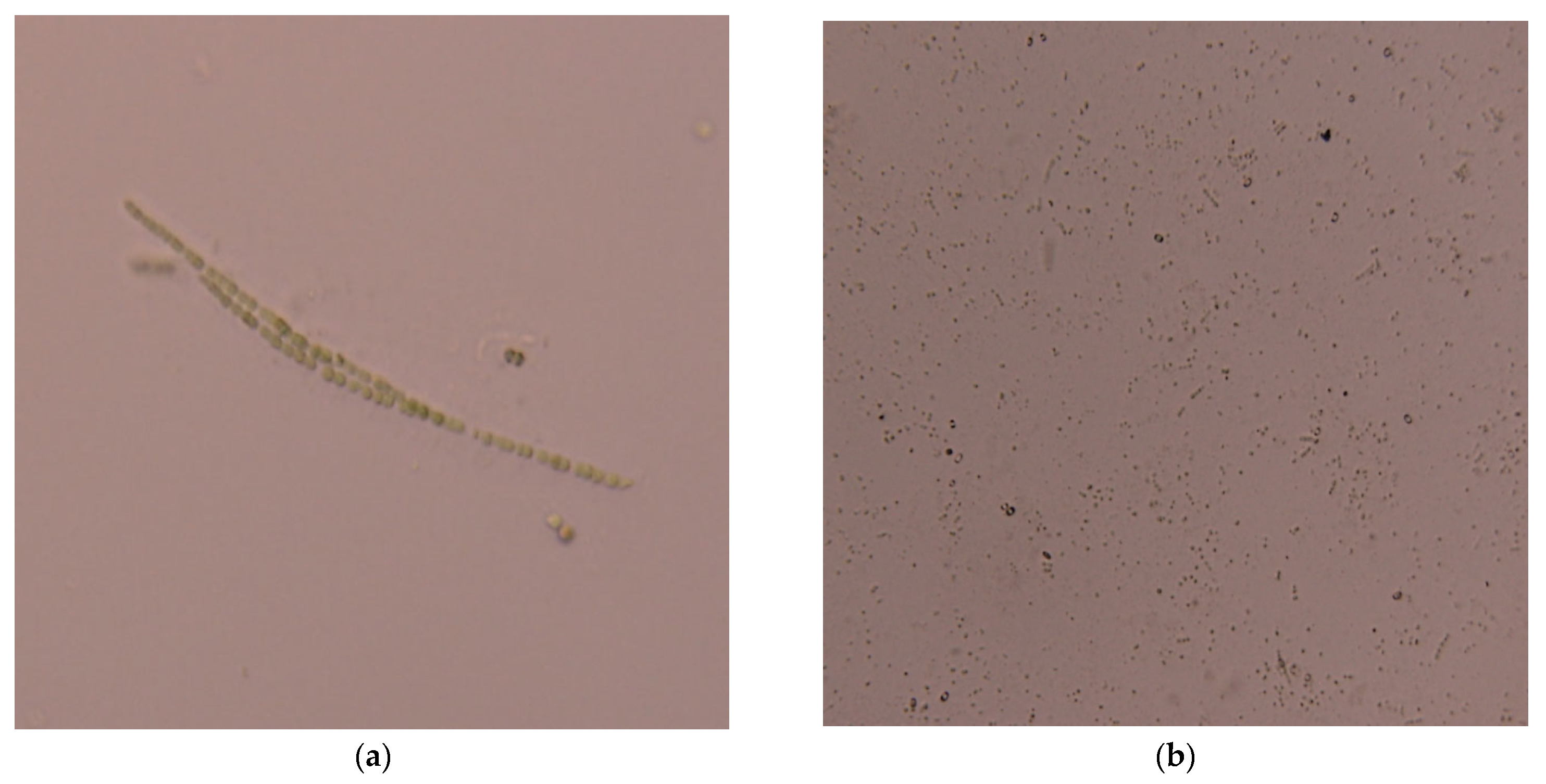 Applsci 13 04631 g003