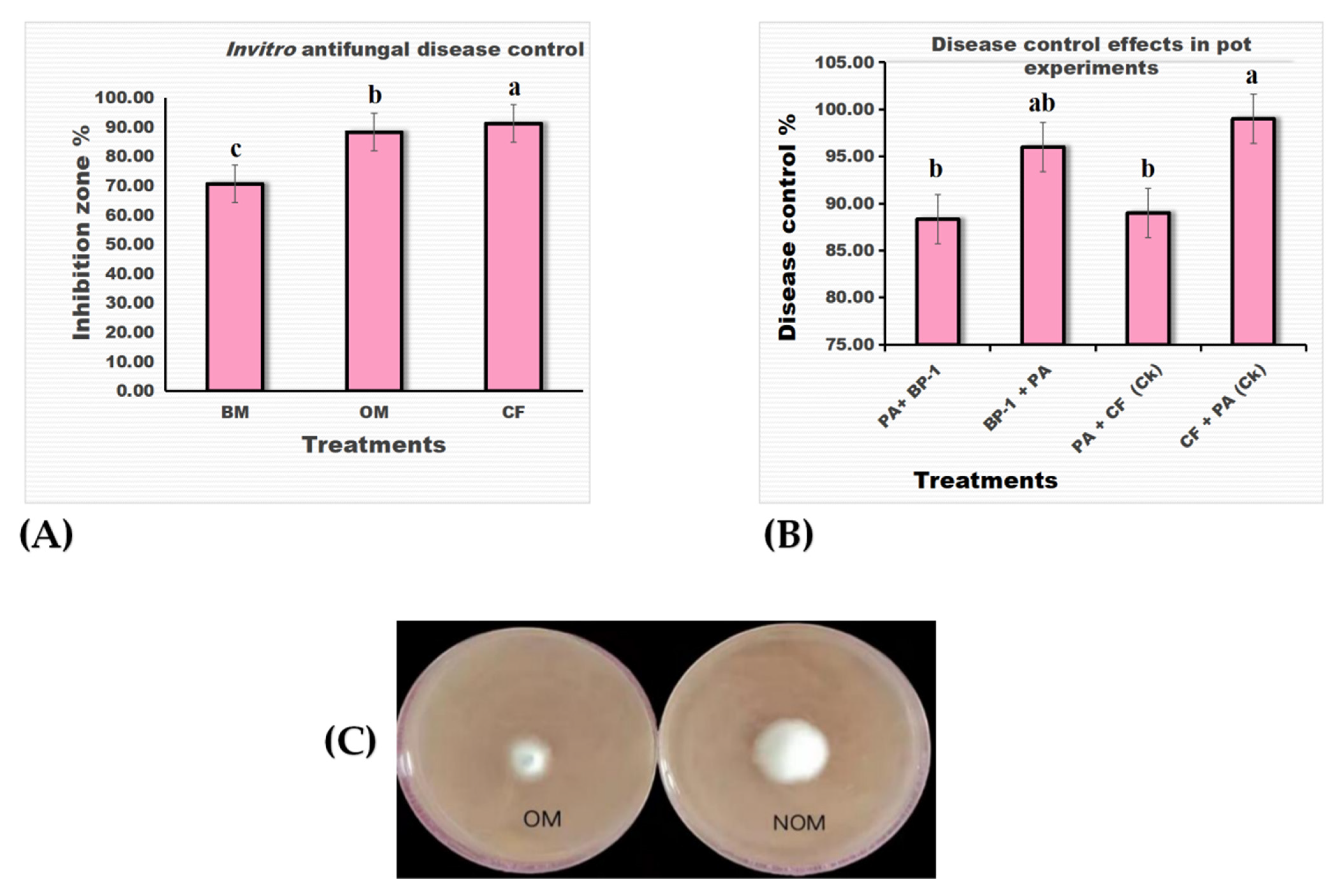 Applsci 13 04653 g004 Applsci 13 04653 g004