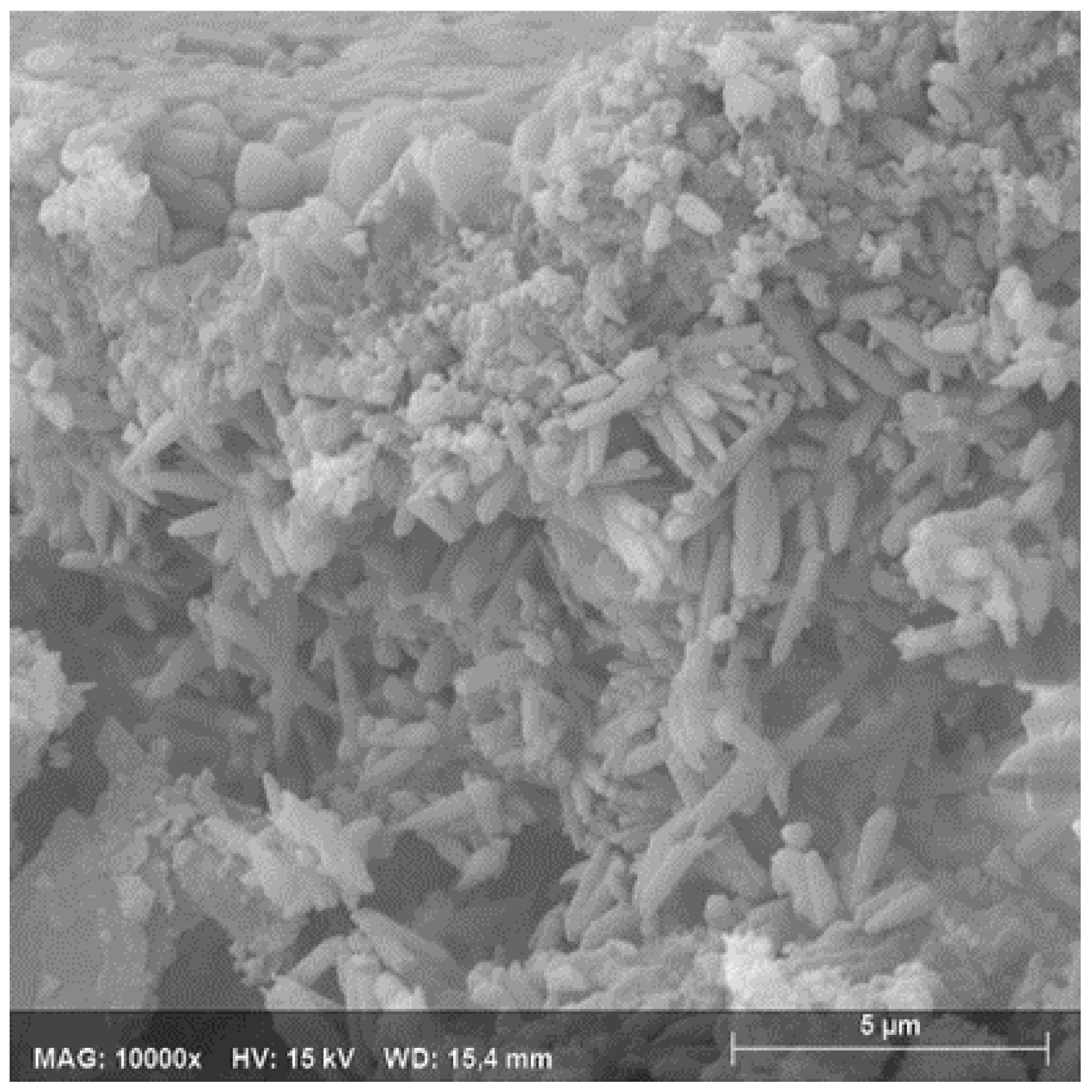 Applsci 13 04679 g012