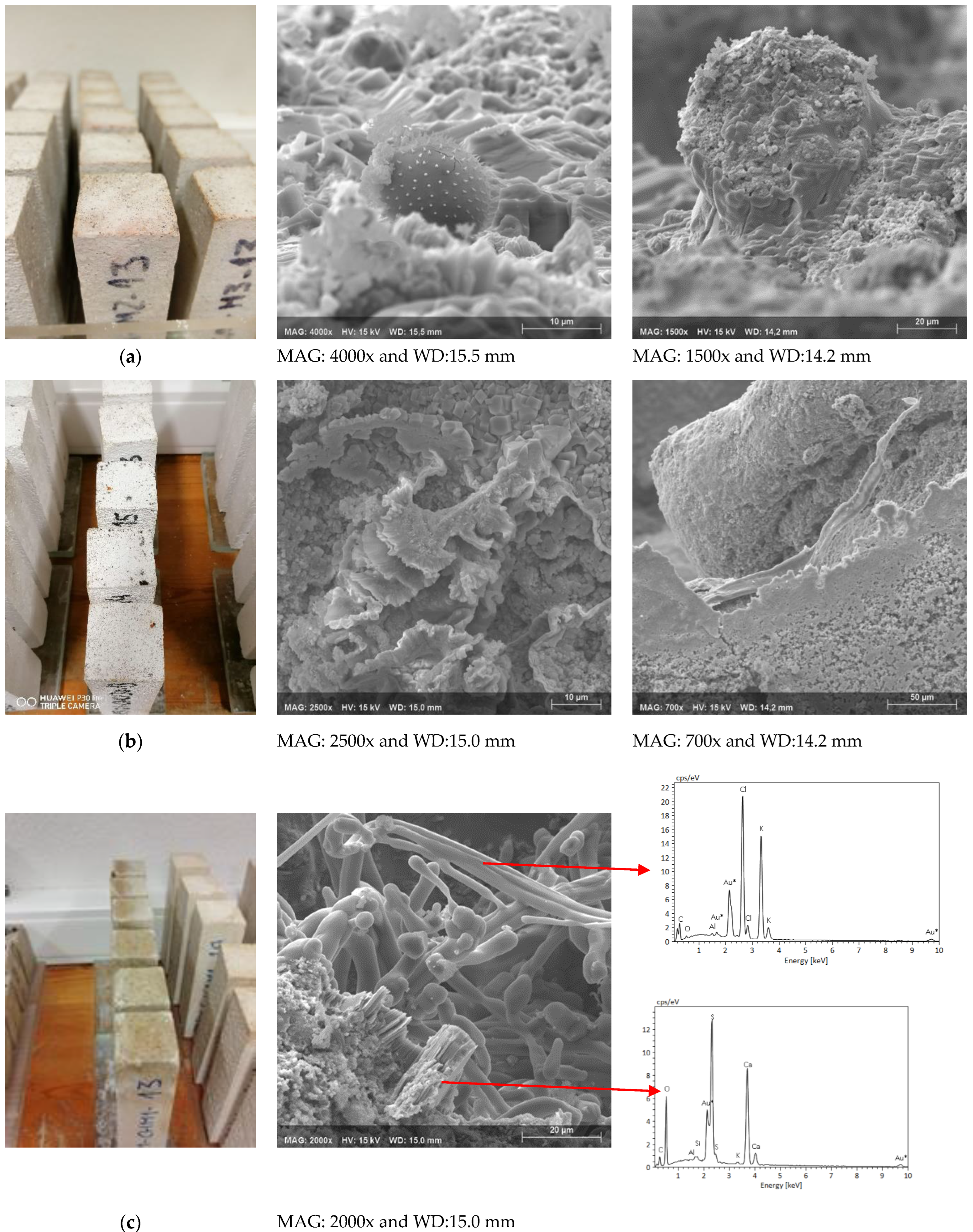 Applsci 13 04679 g015