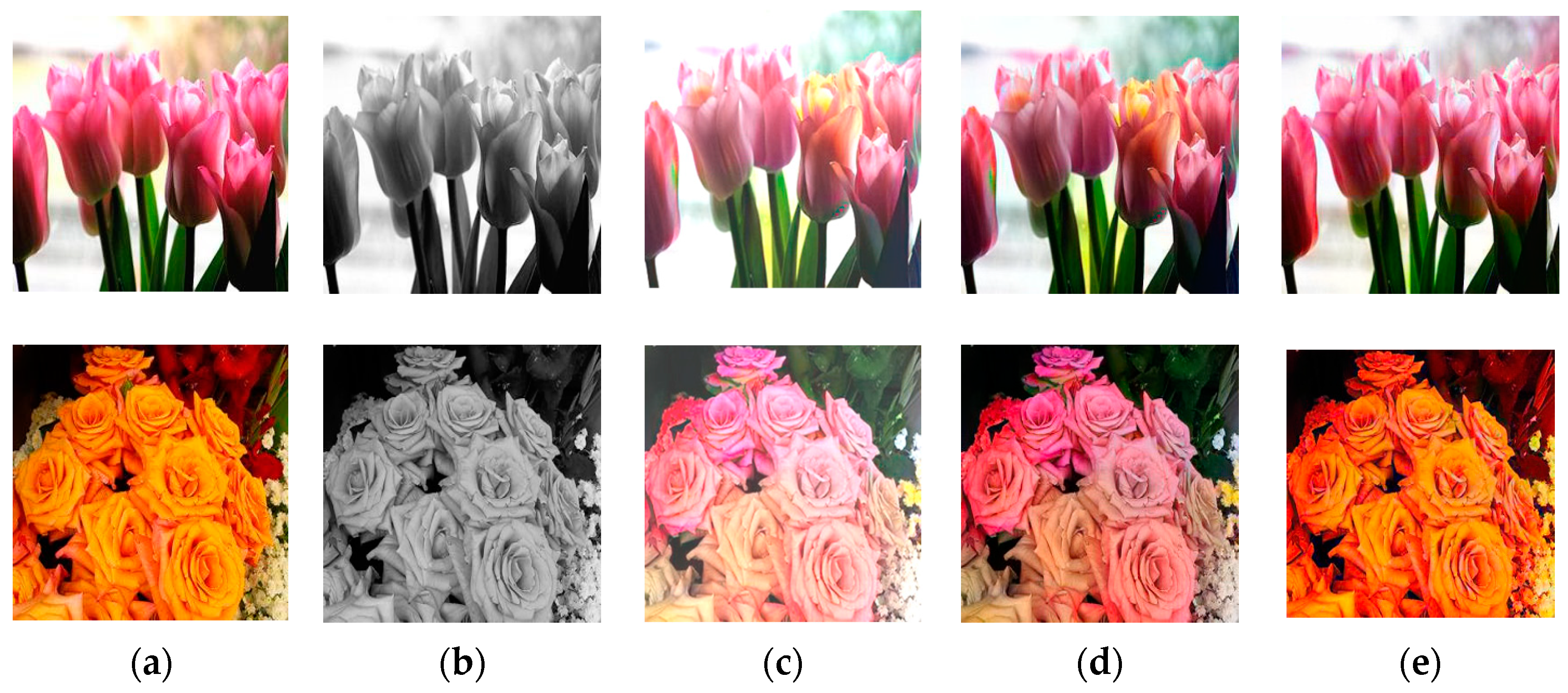 Applsci 13 04686 g002