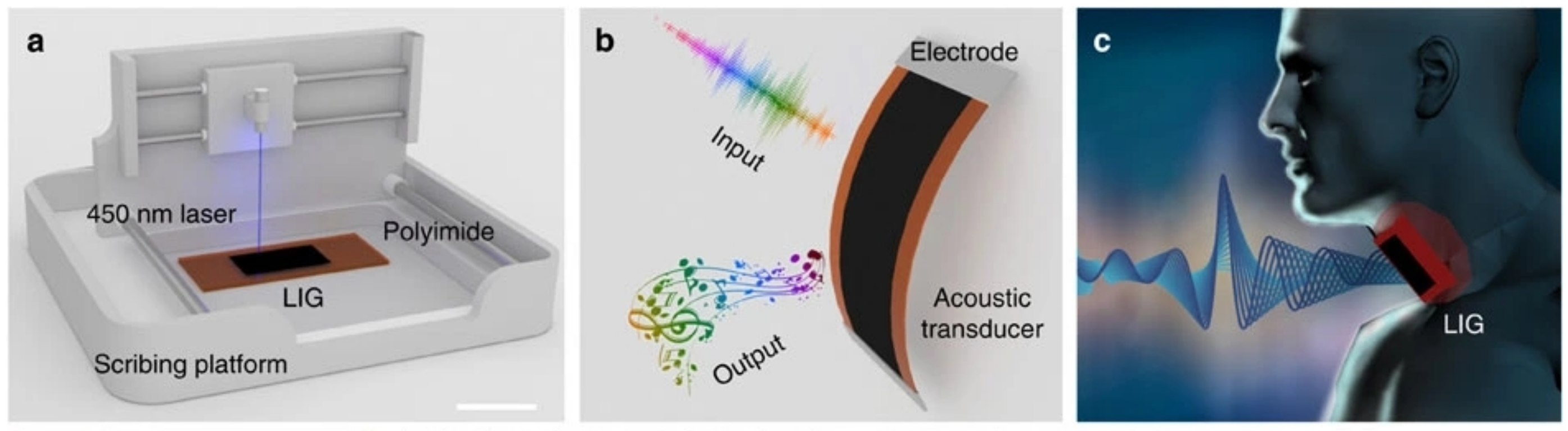 Applsci 13 04688 g013
