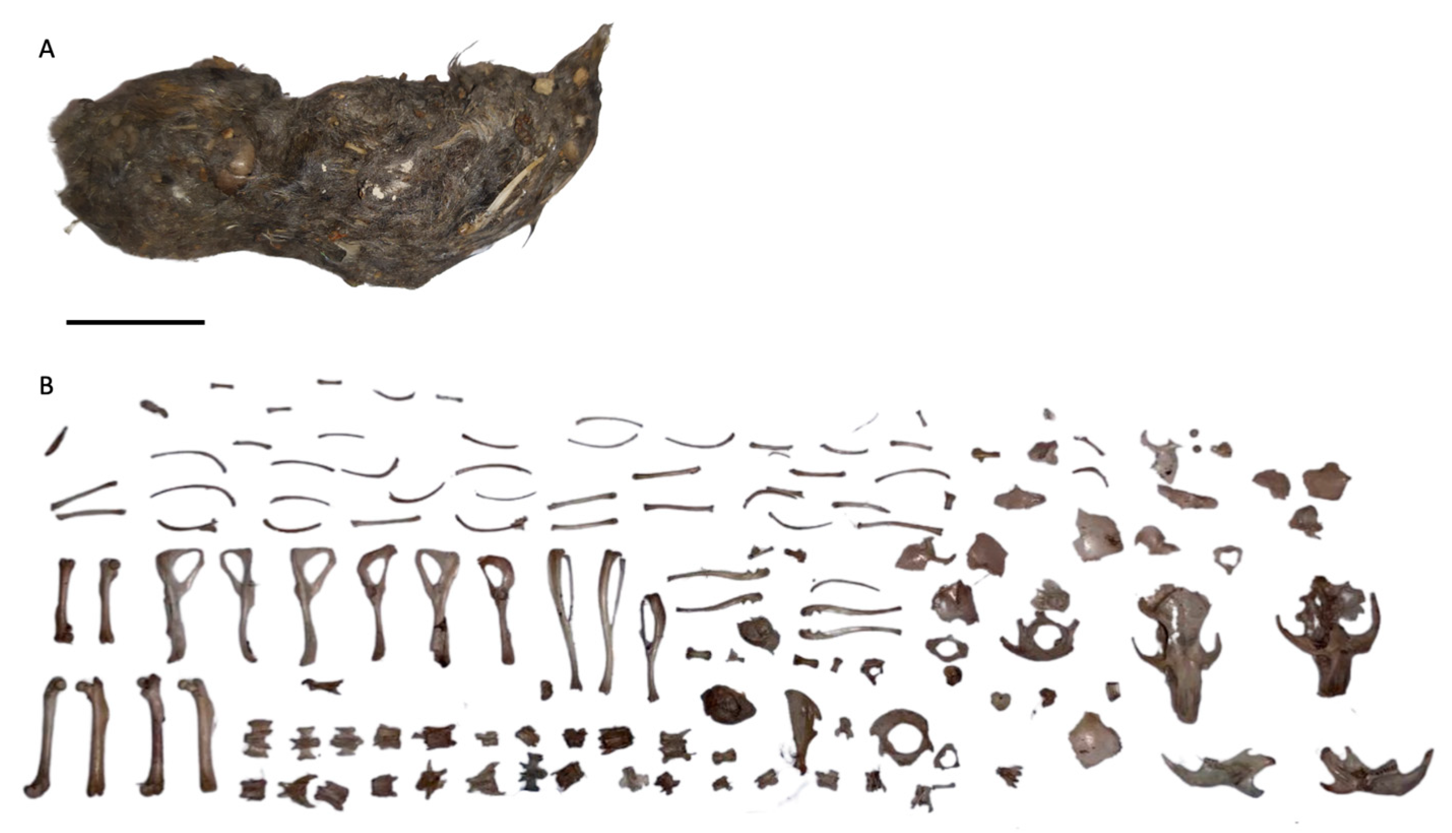 Applsci 13 04703 g001 Applsci 13 04703 g001