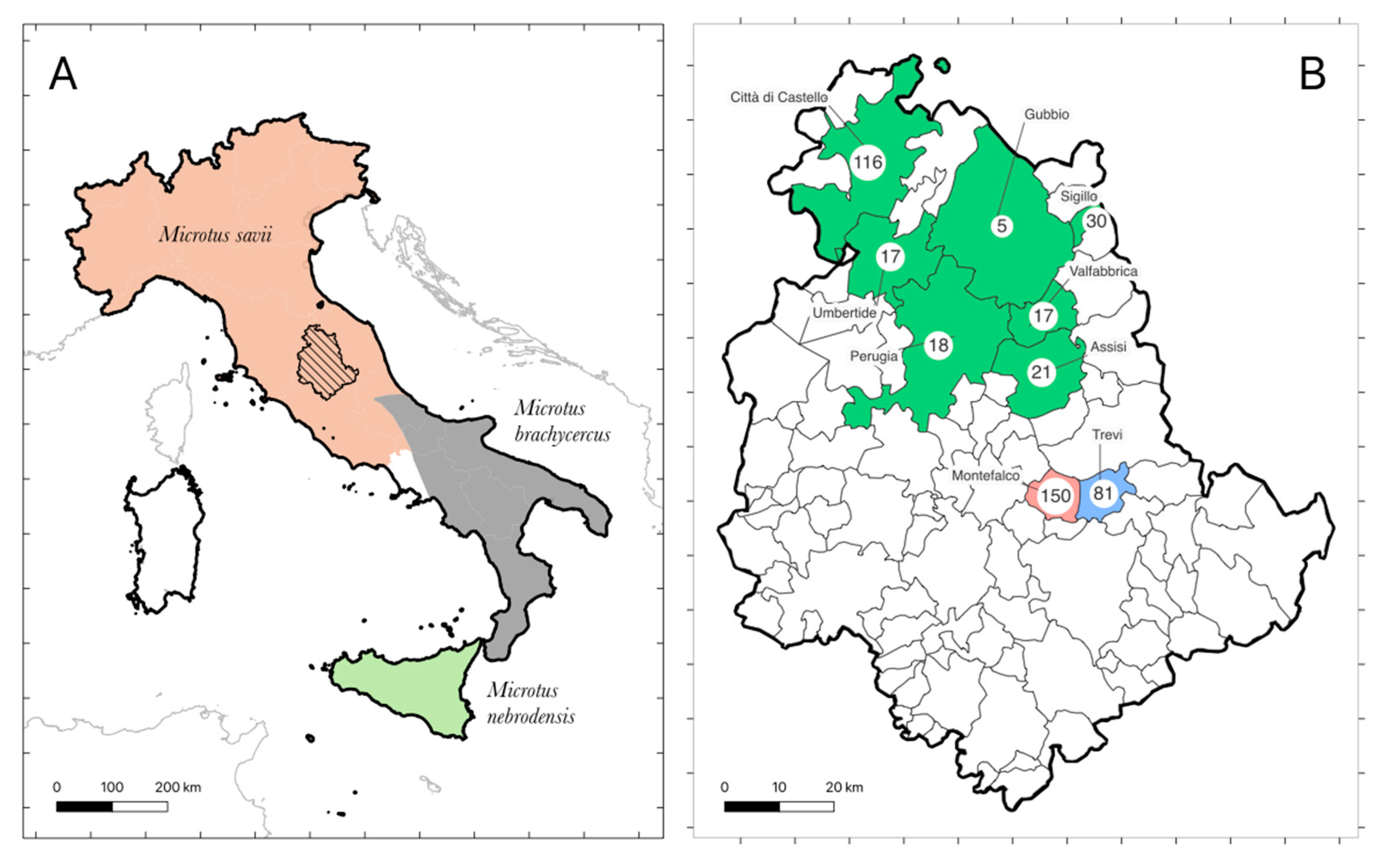 Applsci 13 04703 g002 Applsci 13 04703 g002