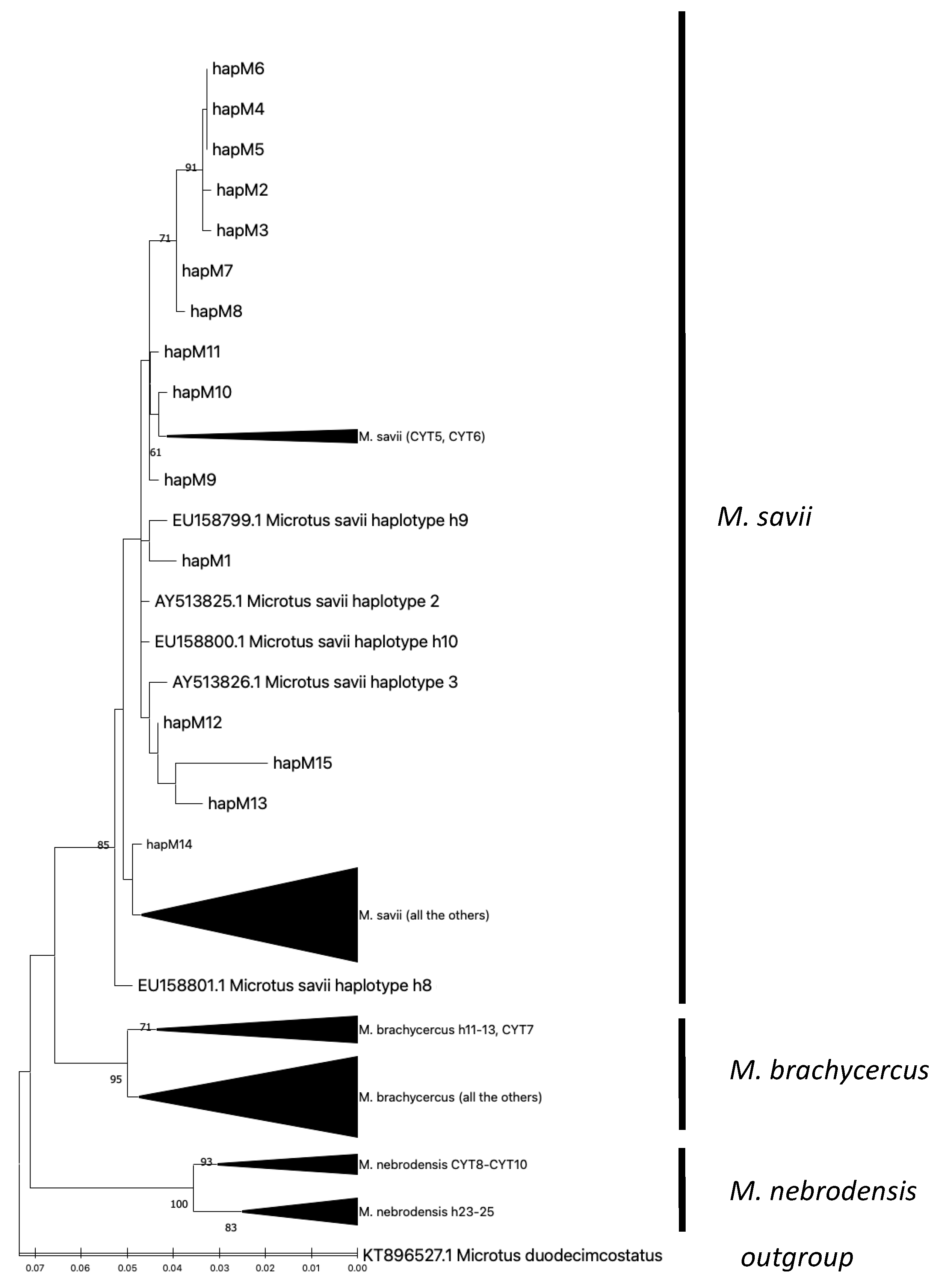 Applsci 13 04703 g008 Applsci 13 04703 g008