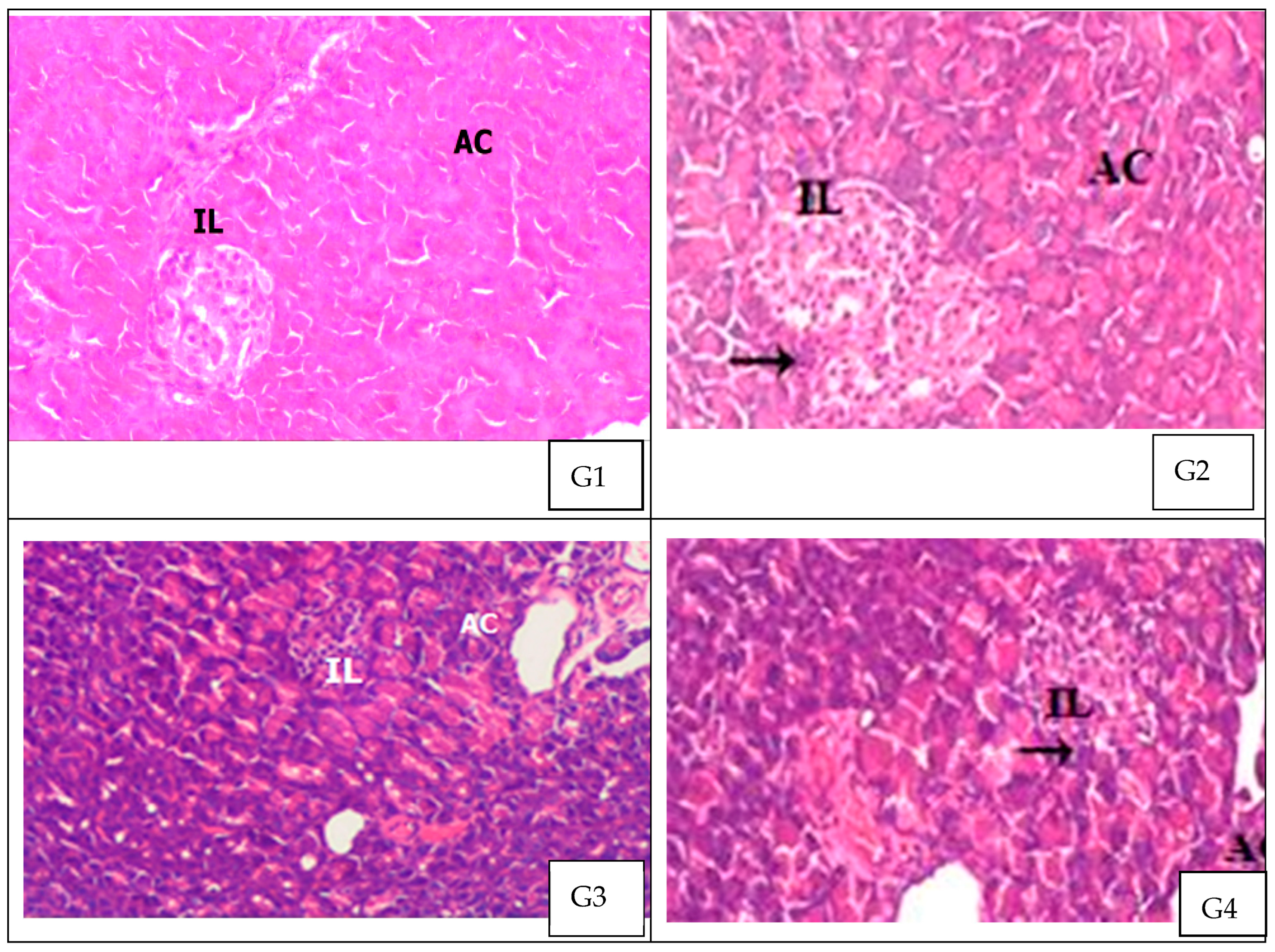 Applsci 13 04711 g006 Applsci 13 04711 g006