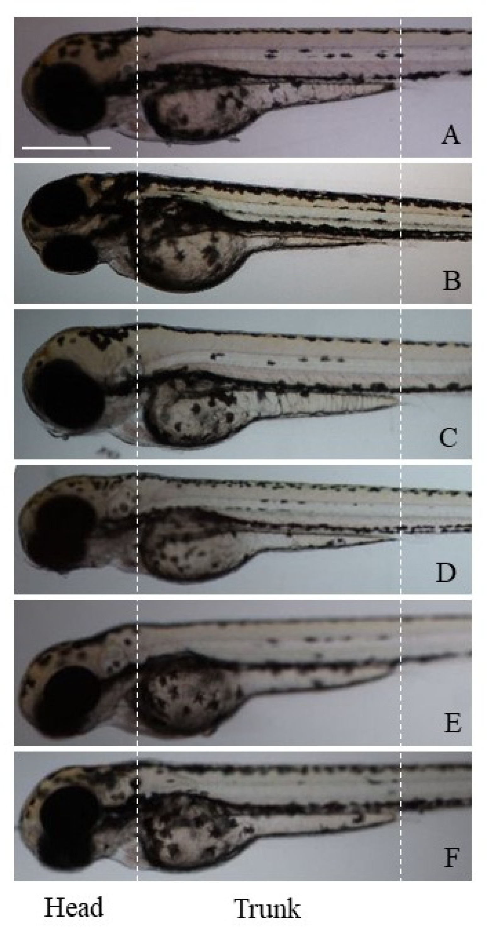 Applsci 13 04721 g001