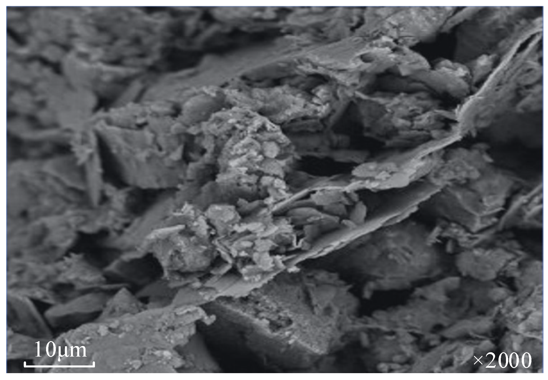 Applsci 13 04733 g002 Applsci 13 04733 g002