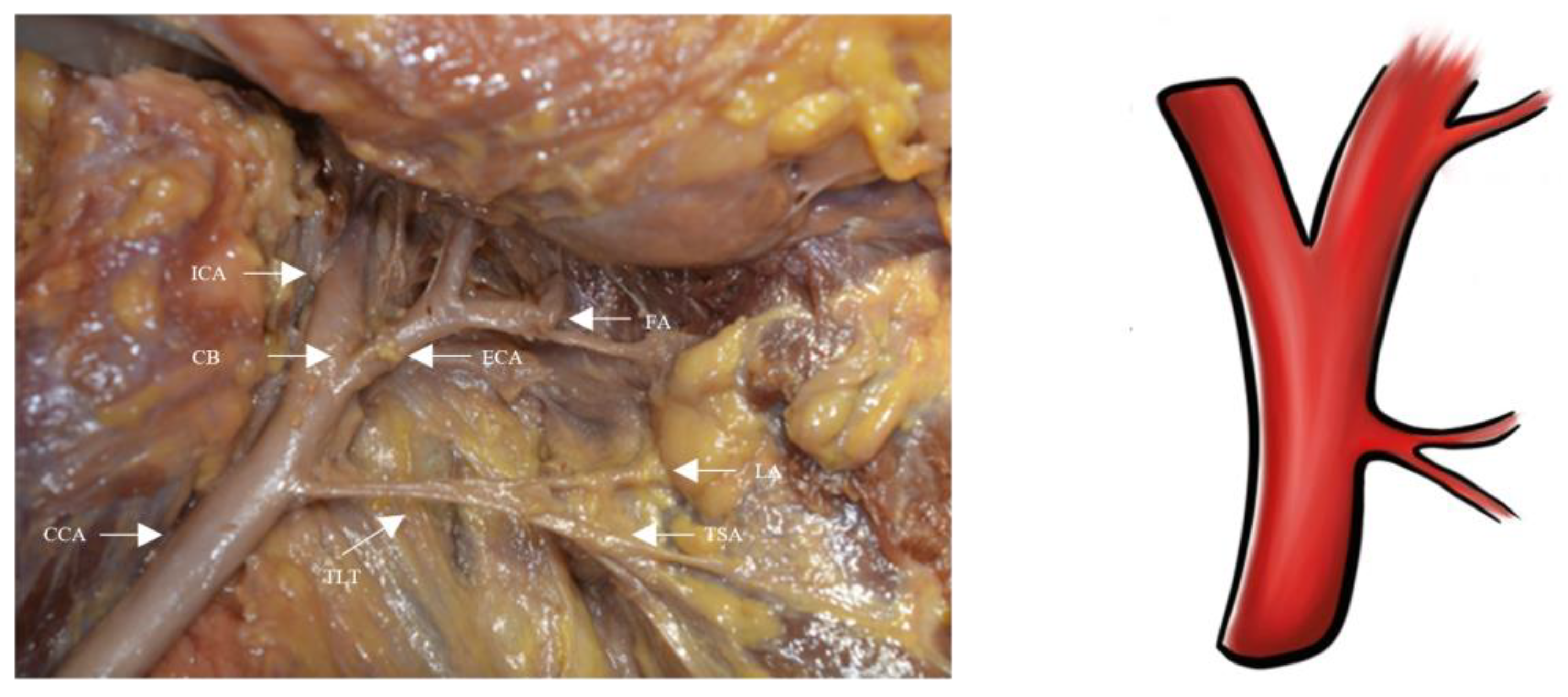 Applsci 13 04737 g003