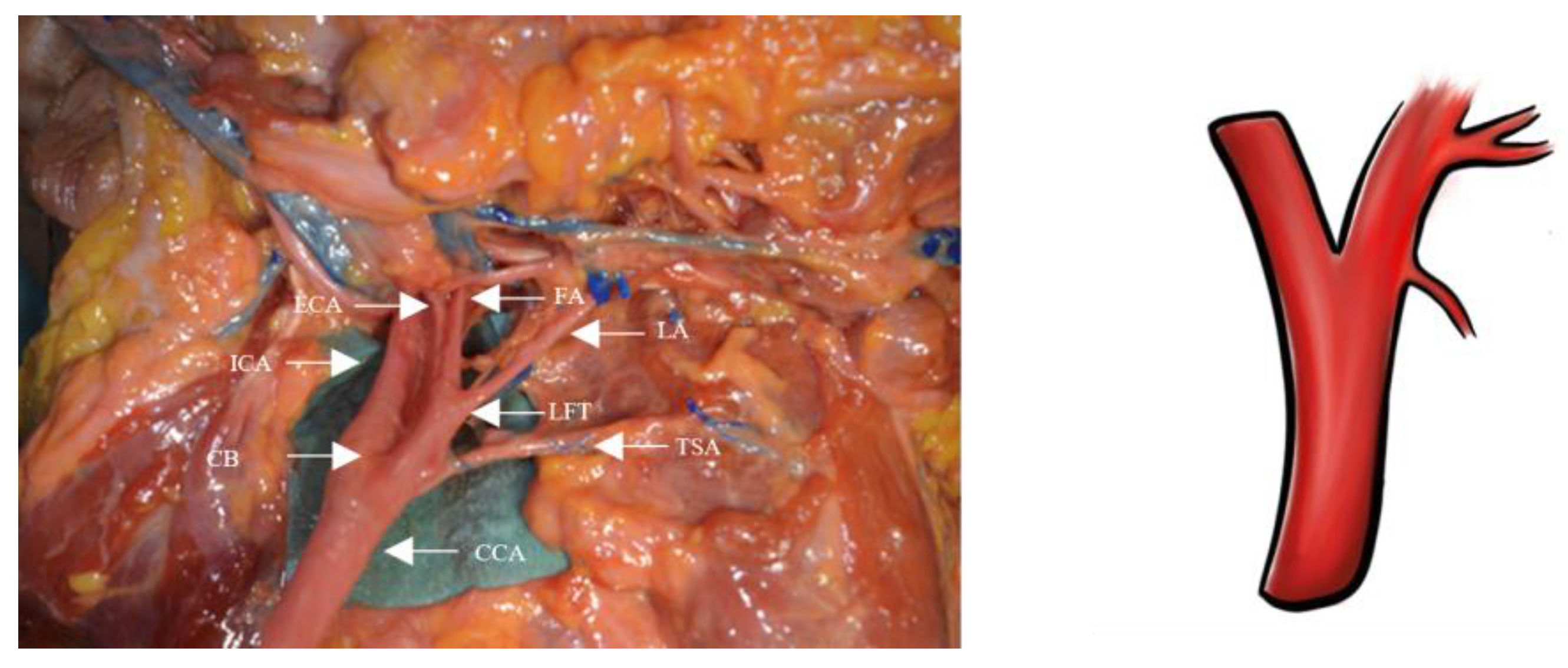 Applsci 13 04737 g004