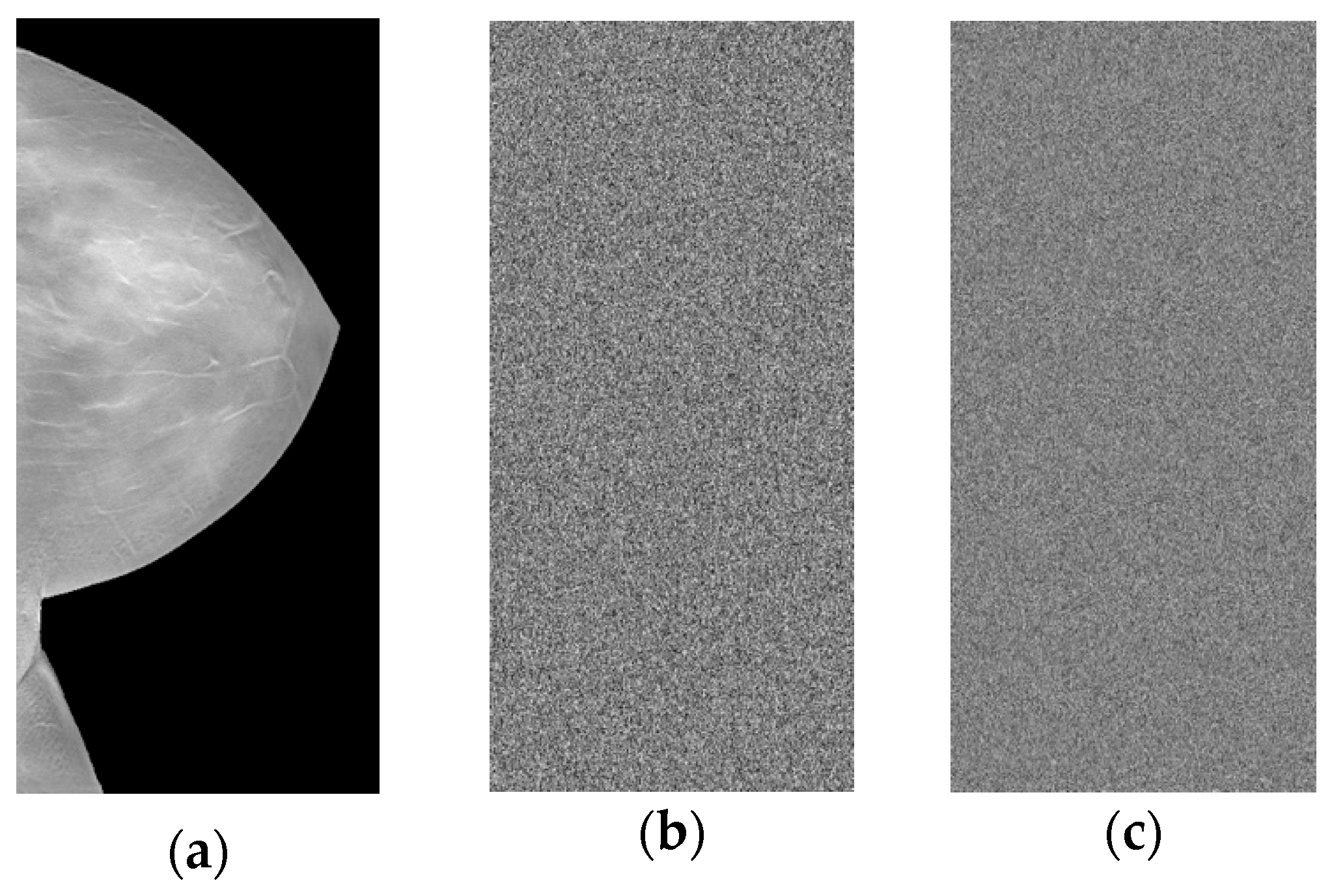 Applsci 13 04779 g012