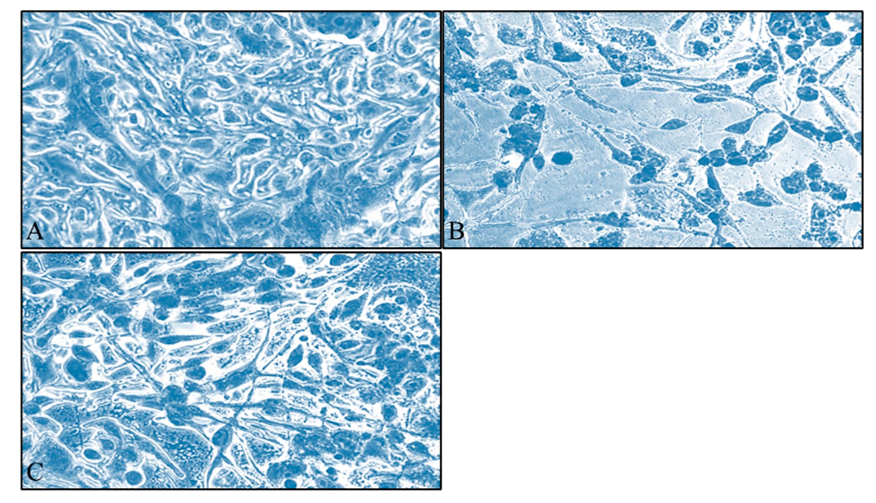 Applsci 13 04784 g002 Applsci 13 04784 g002