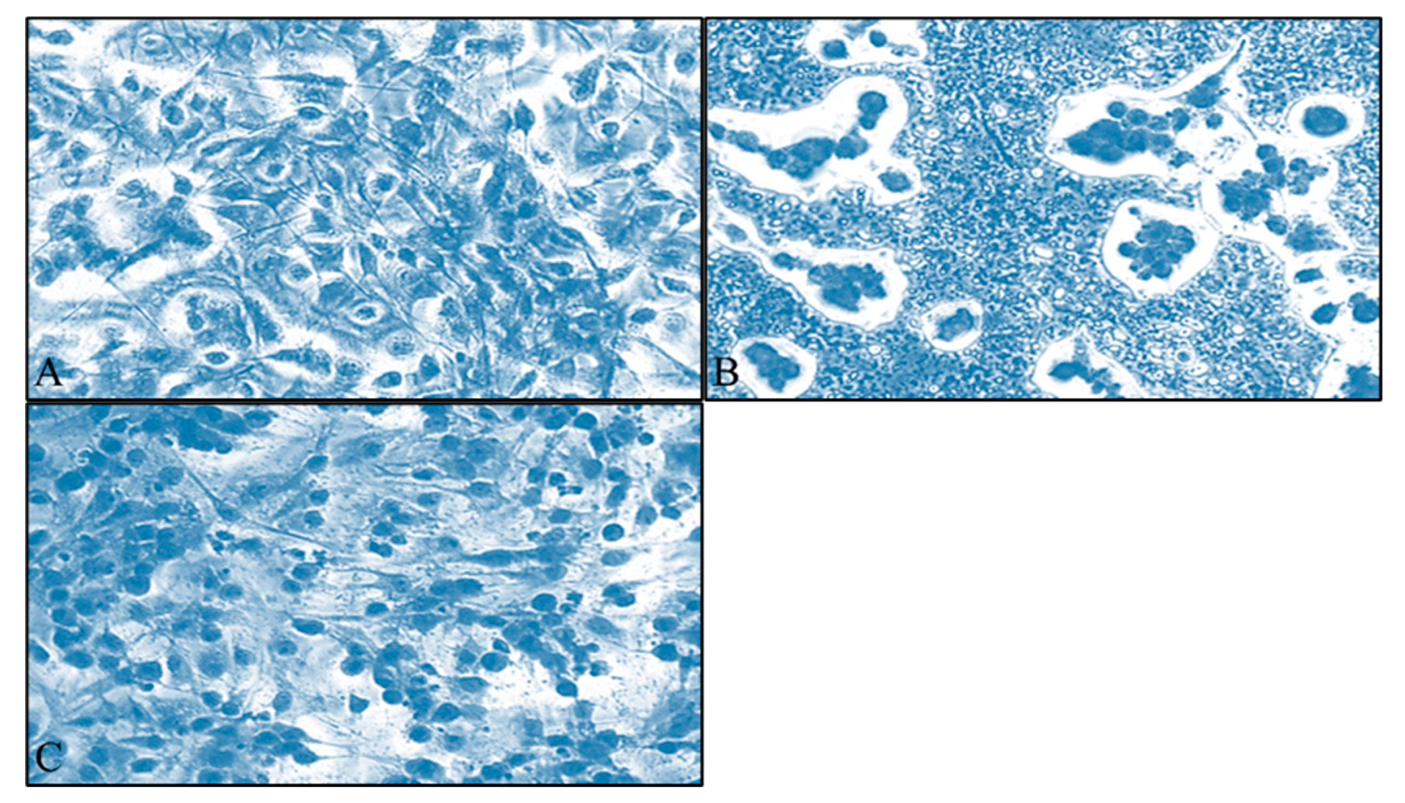 Applsci 13 04784 g003 Applsci 13 04784 g003