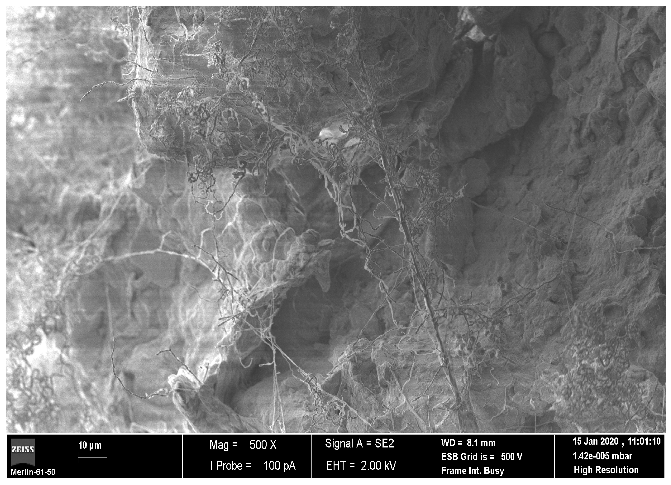 Applsci 13 04787 g001