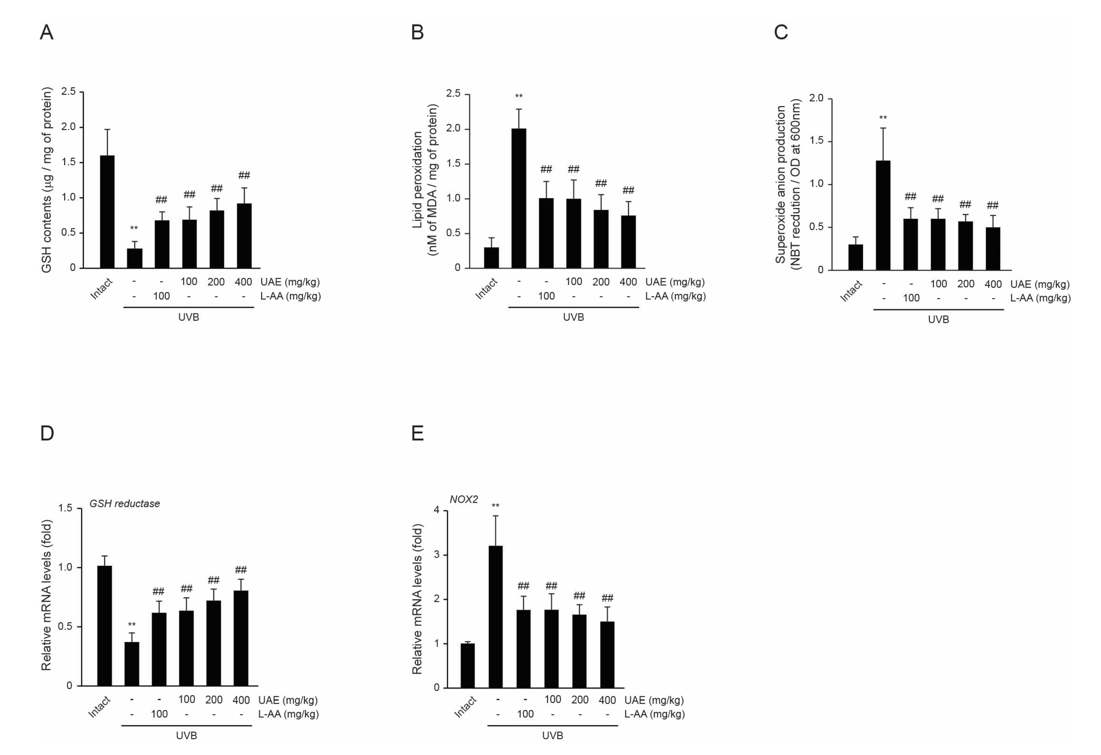 Applsci 13 04788 g004