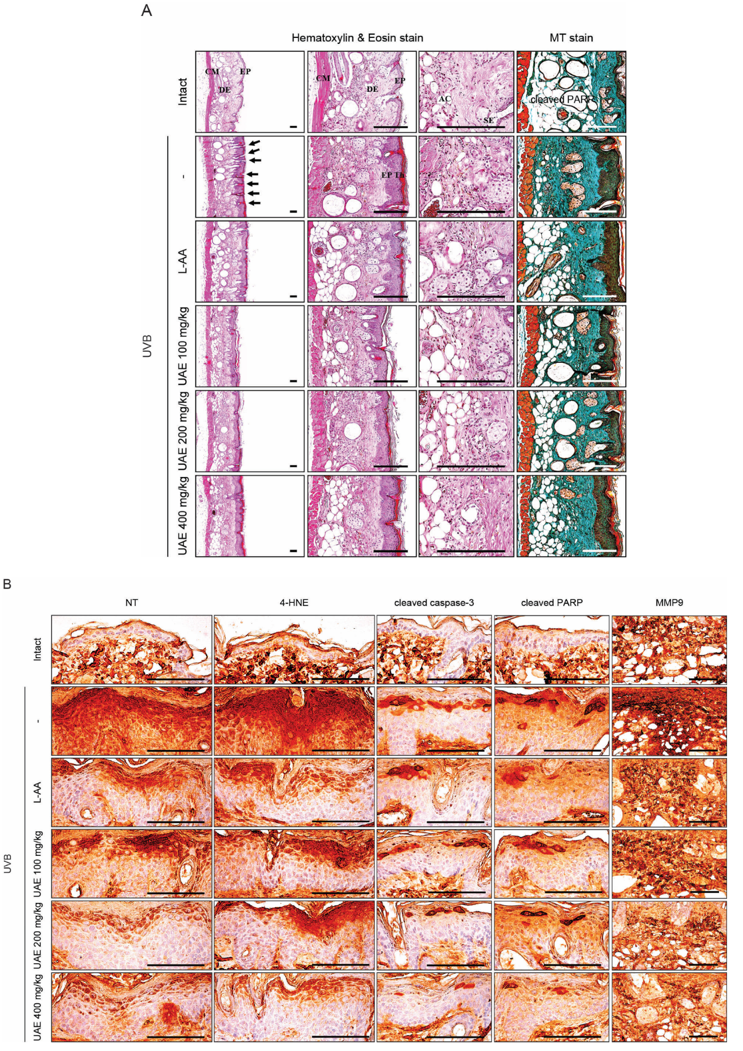 Applsci 13 04788 g005