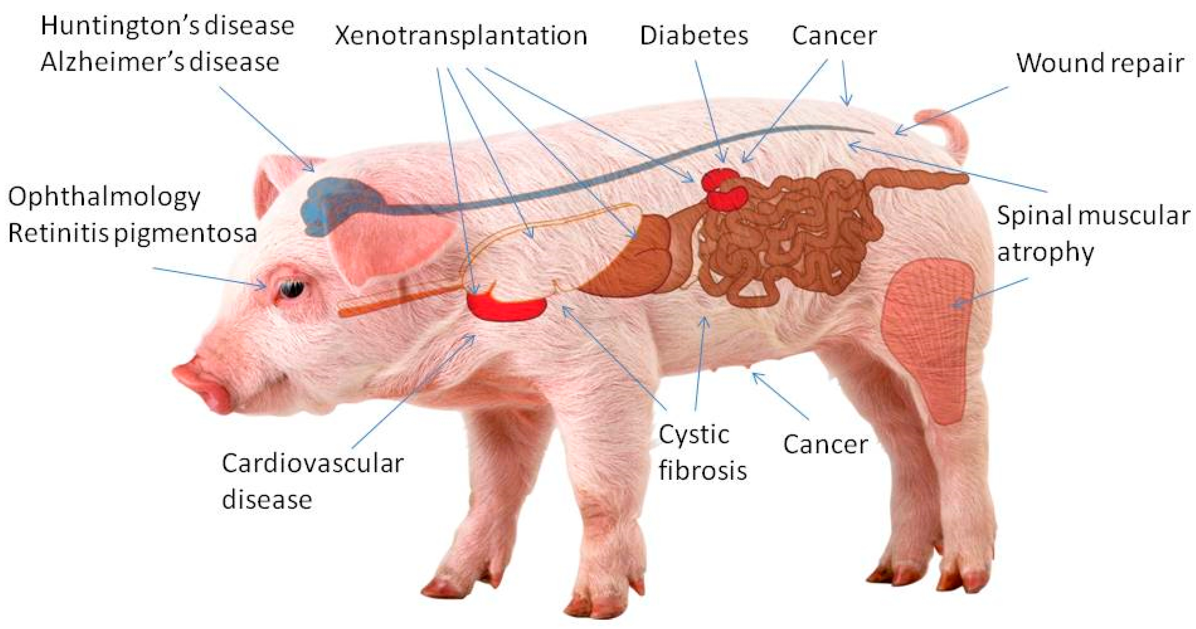 Applsci 13 04798 g001