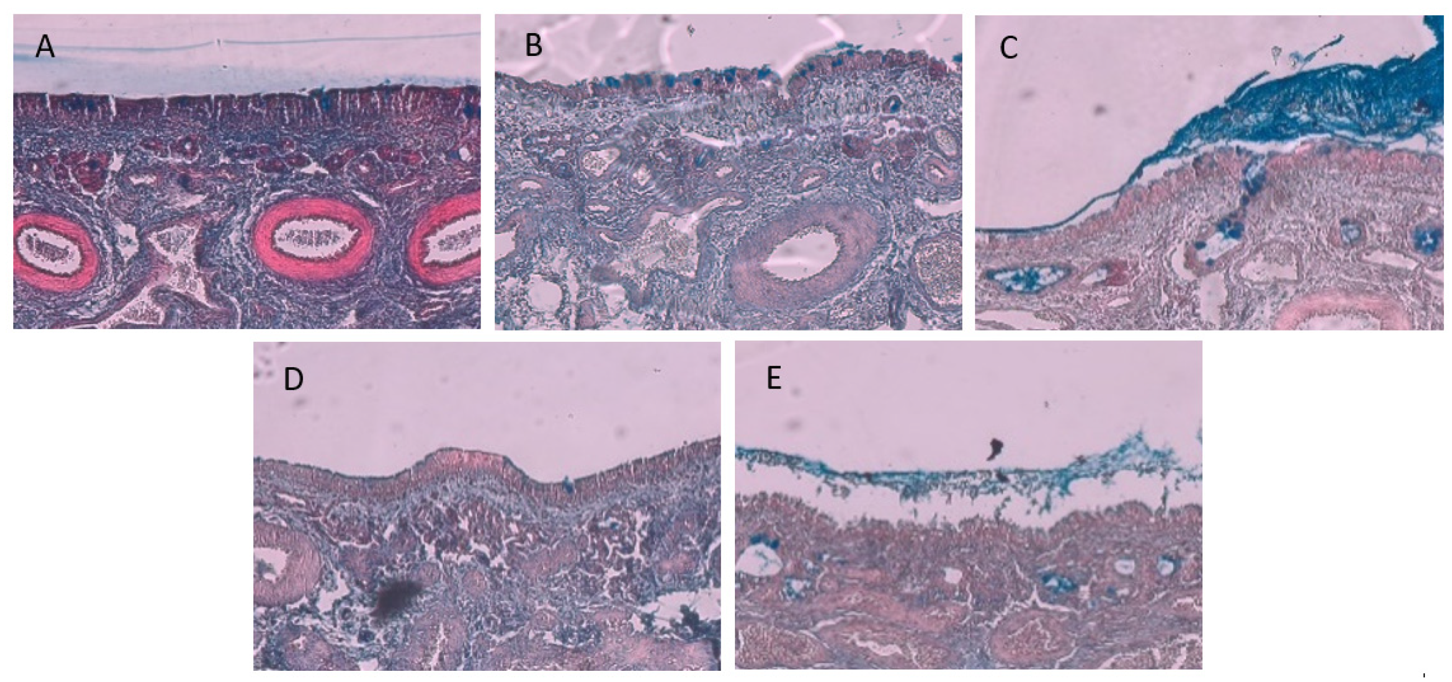 Applsci 13 04822 g006