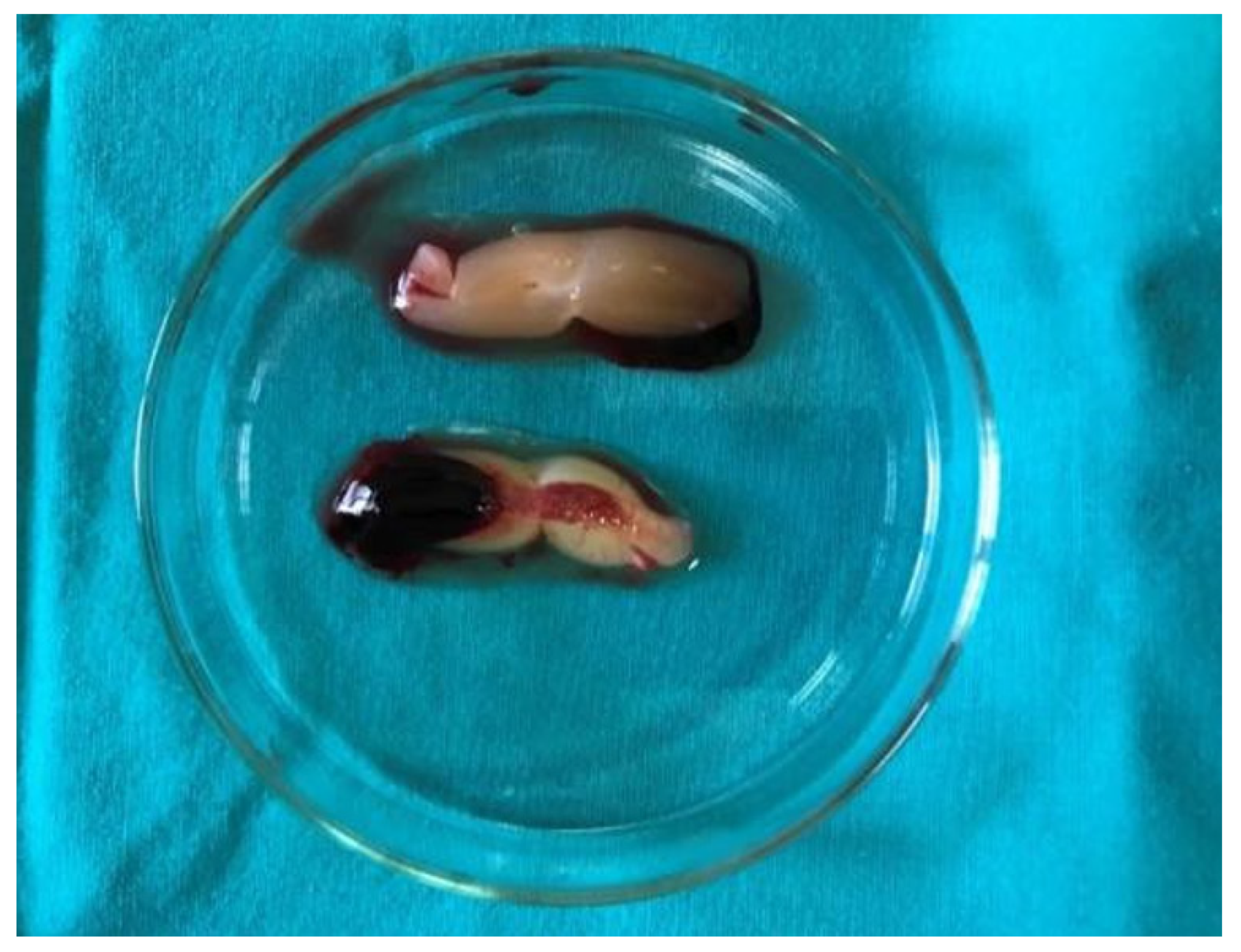 Applsci 13 04823 g002 Applsci 13 04823 g002