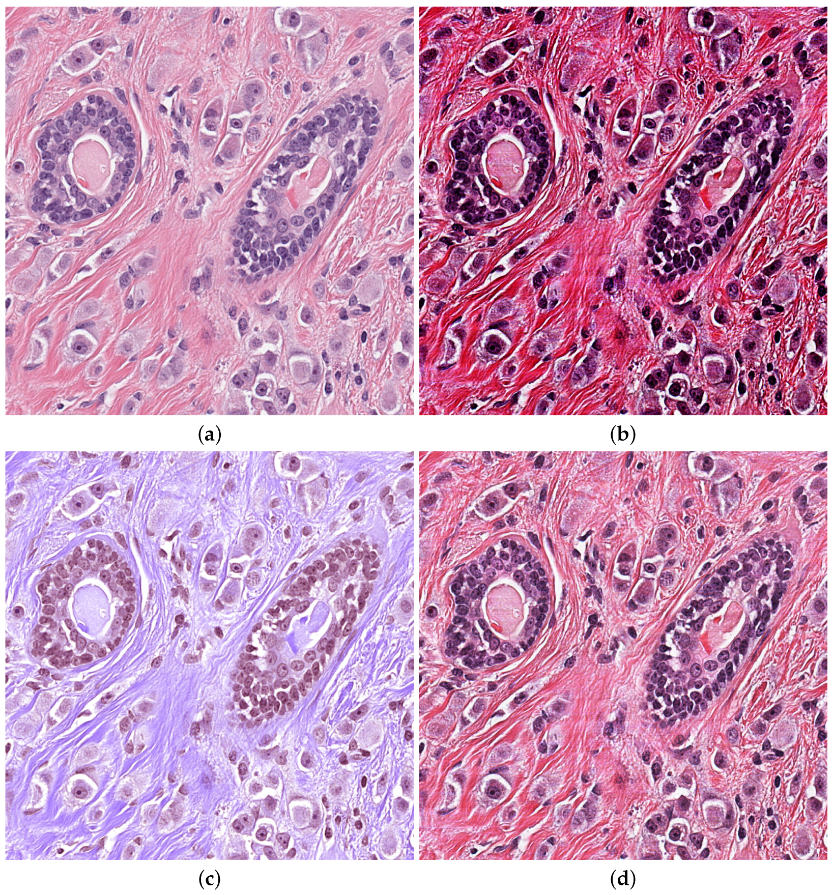 Applsci 13 04842 g004