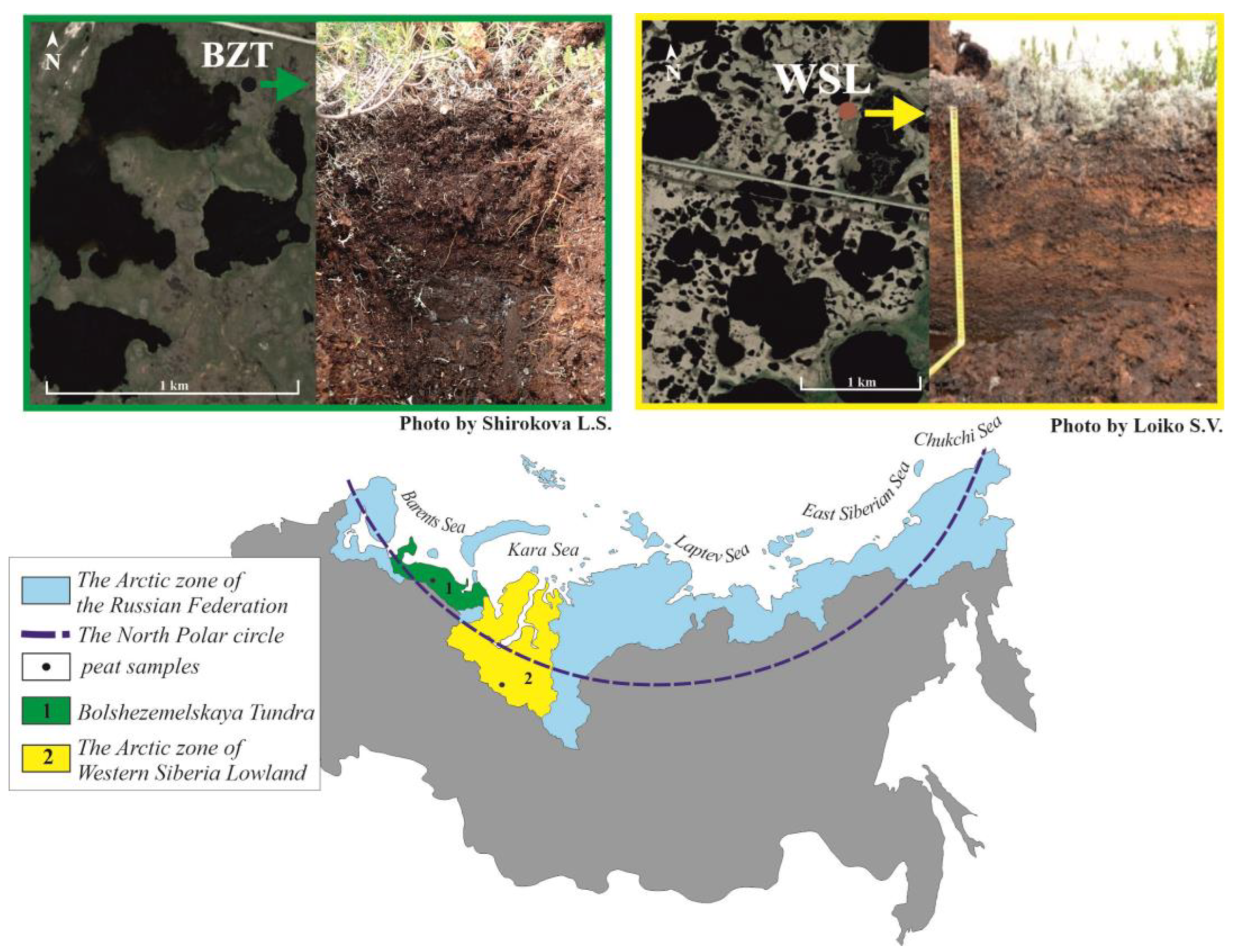 Applsci 13 04856 g001 Applsci 13 04856 g001