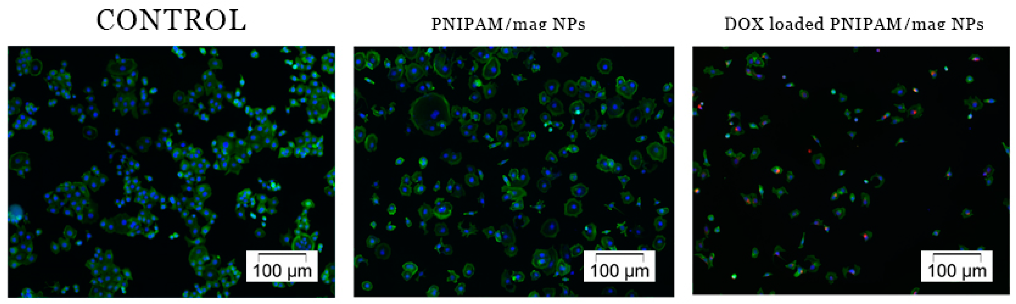 Applsci 13 04870 g008