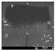 Applsci 13 04875 i001