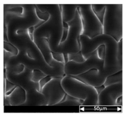 Applsci 13 04875 i004