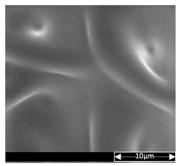 Applsci 13 04875 i005