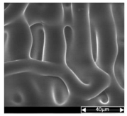 Applsci 13 04875 i006