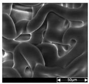 Applsci 13 04875 i007