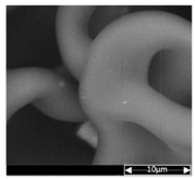 Applsci 13 04875 i008