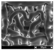 Applsci 13 04875 i010