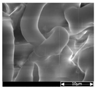 Applsci 13 04875 i011