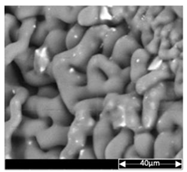 Applsci 13 04875 i012