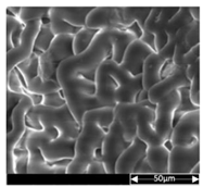 Applsci 13 04875 i013