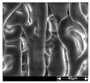 Applsci 13 04875 i017