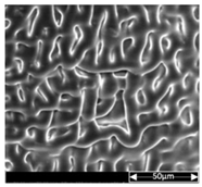 Applsci 13 04875 i018