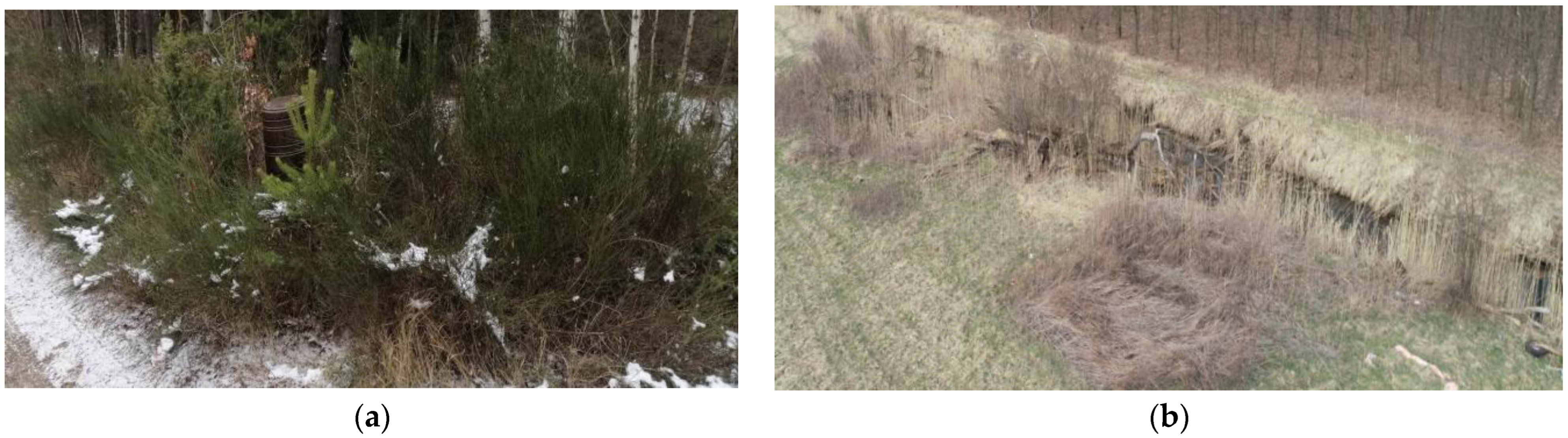 Applsci 13 04892 g007