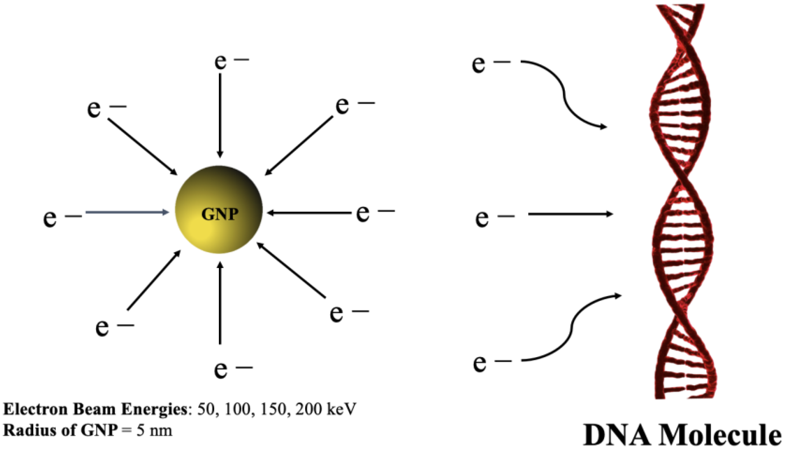 Applsci 13 04916 g002