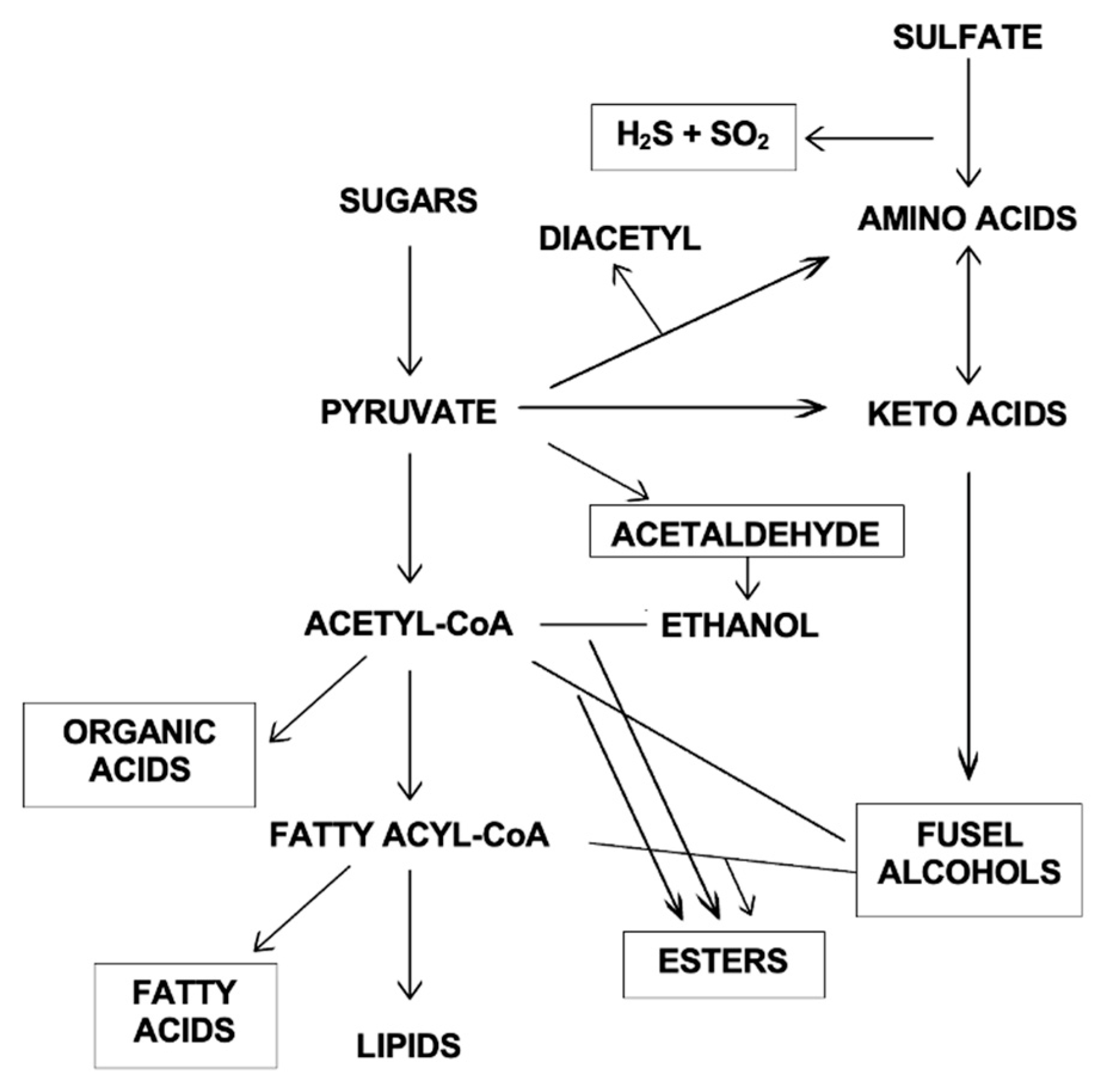 Applsci 13 04927 g005 Applsci 13 04927 g005