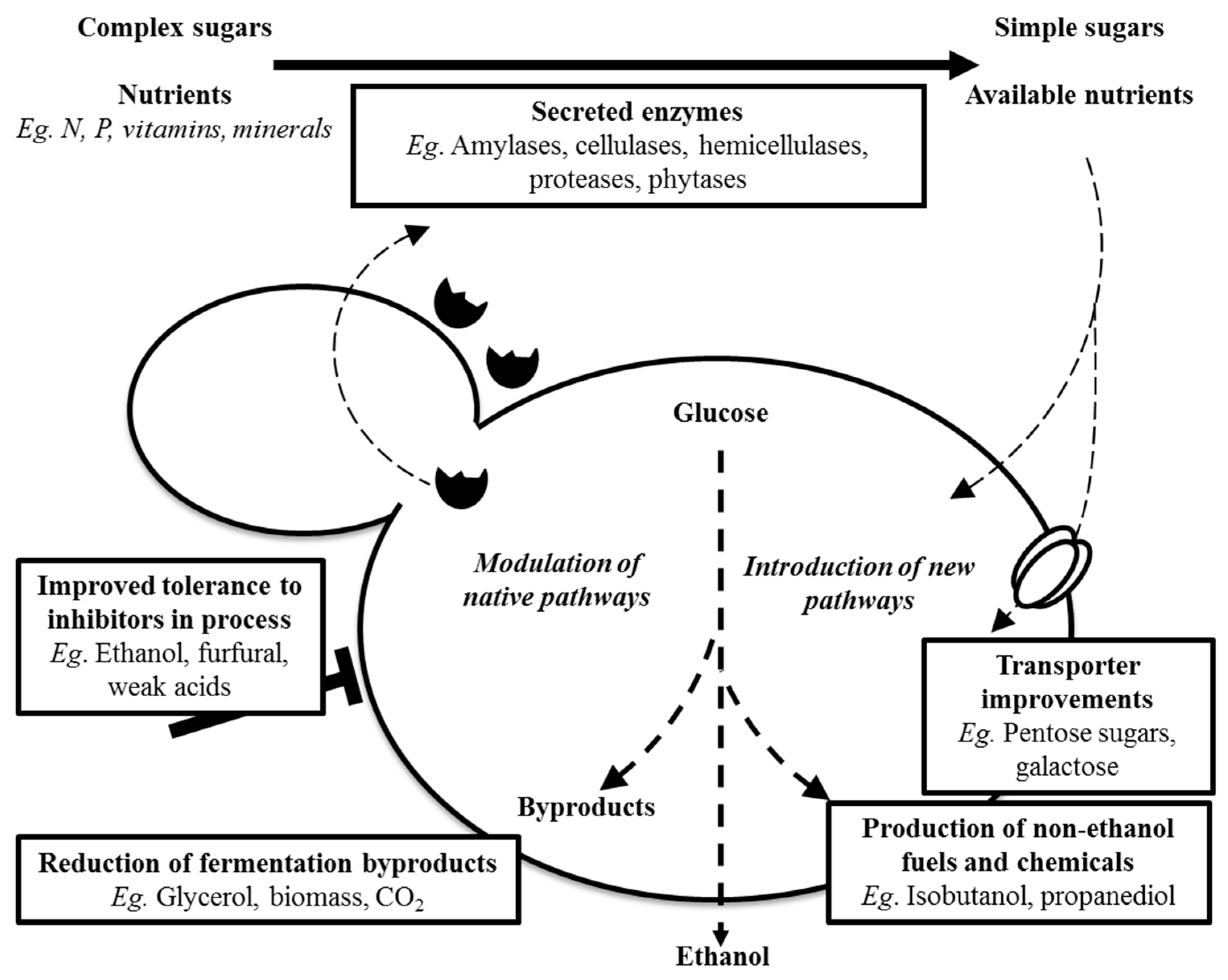 Applsci 13 04927 g006 Applsci 13 04927 g006
