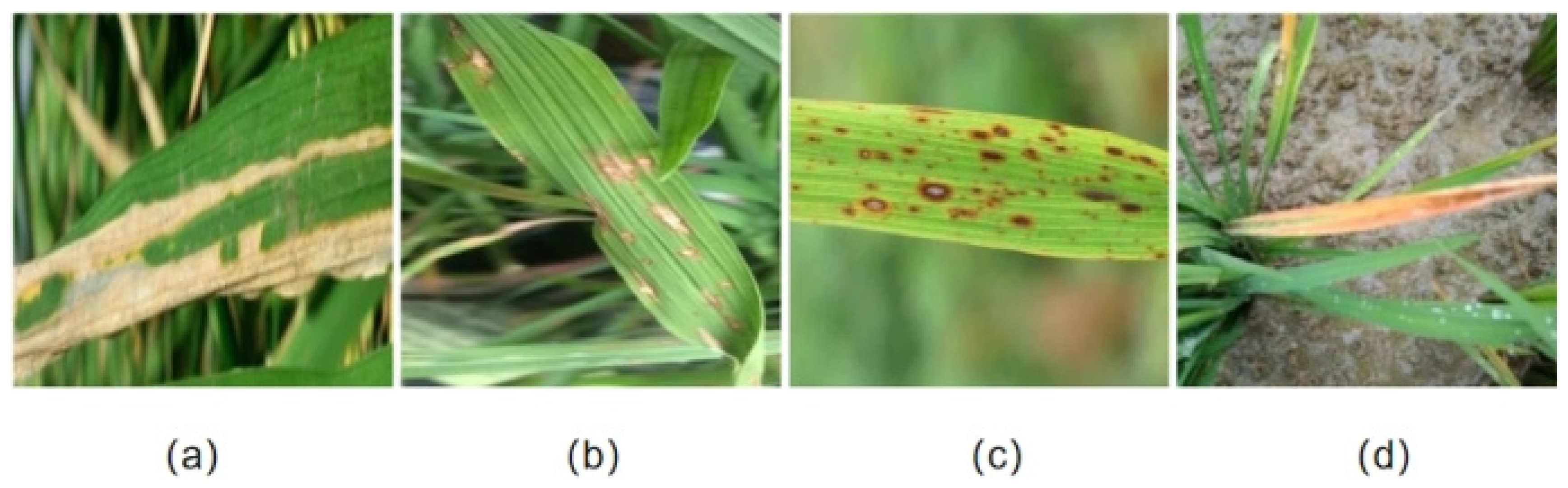 Applsci 13 04928 g001