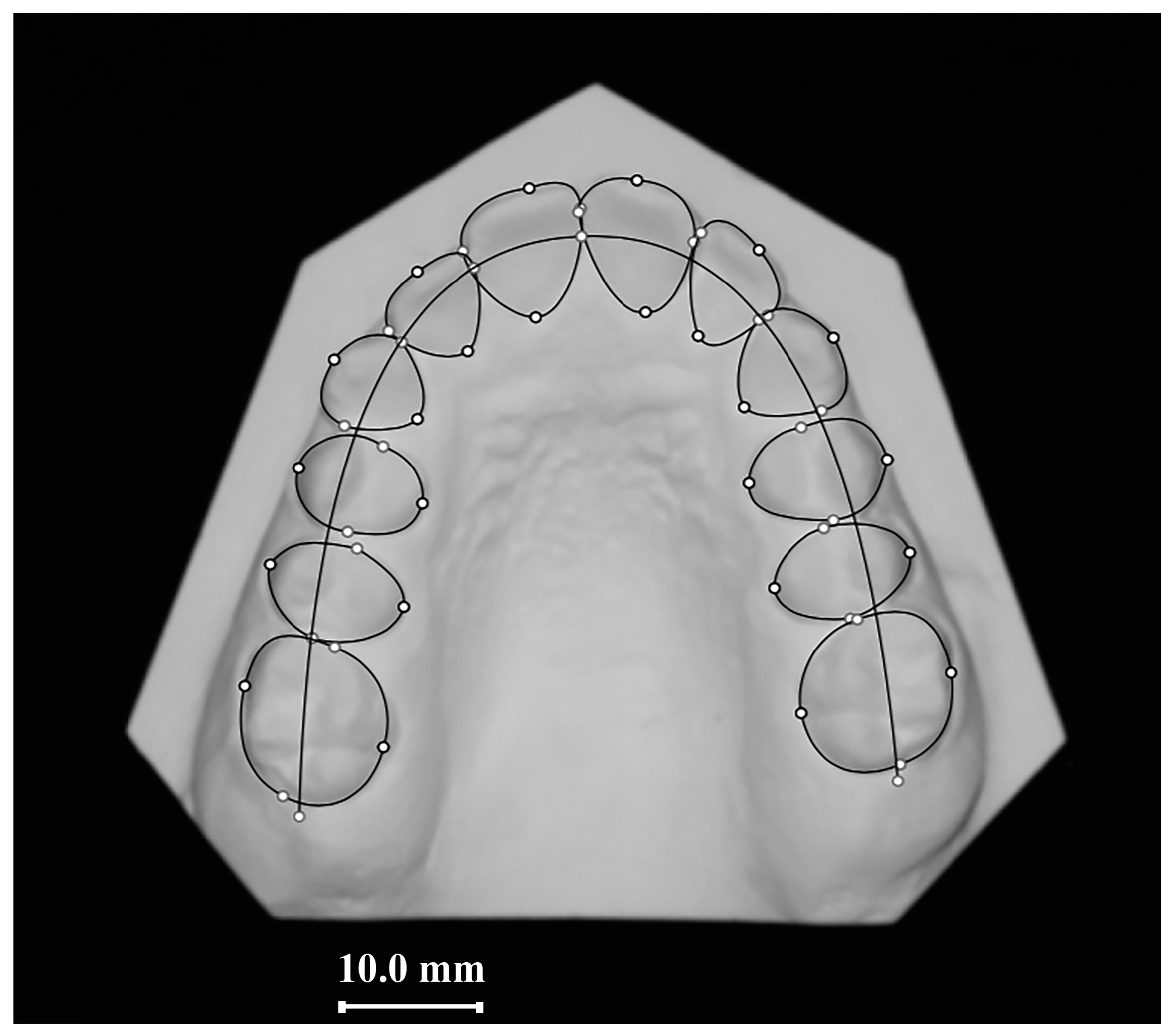 Applsci 13 04929 g001 Applsci 13 04929 g001