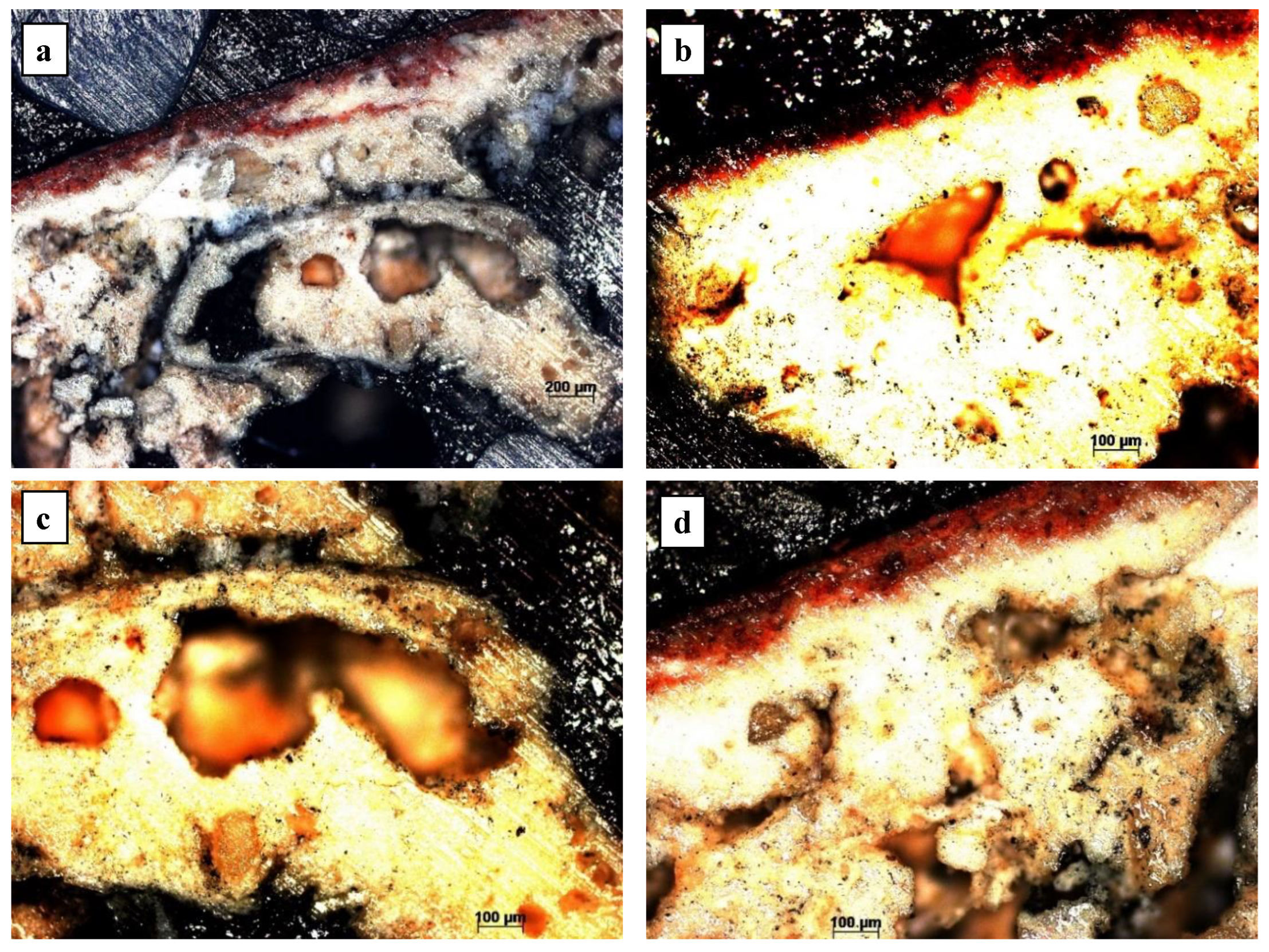 Applsci 13 04933 g002