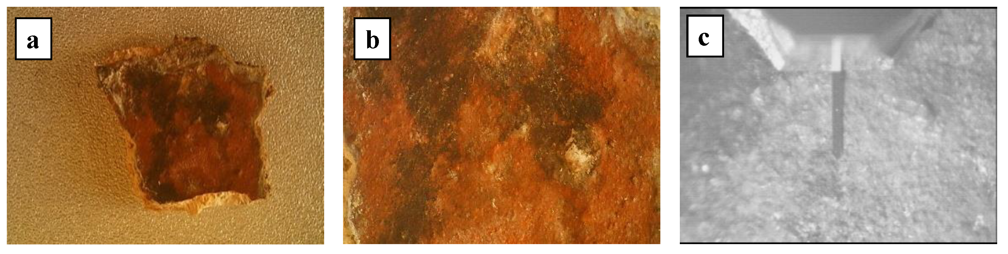 Applsci 13 04933 g005