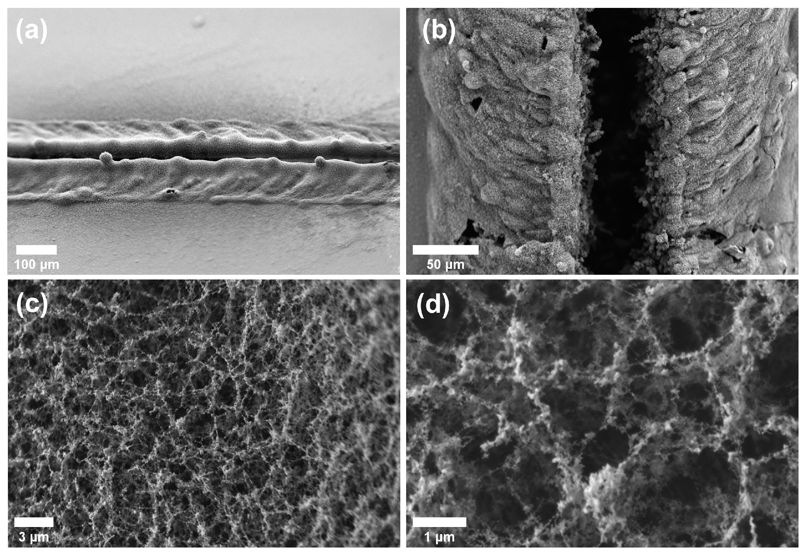 Applsci 13 04935 g002 Applsci 13 04935 g002