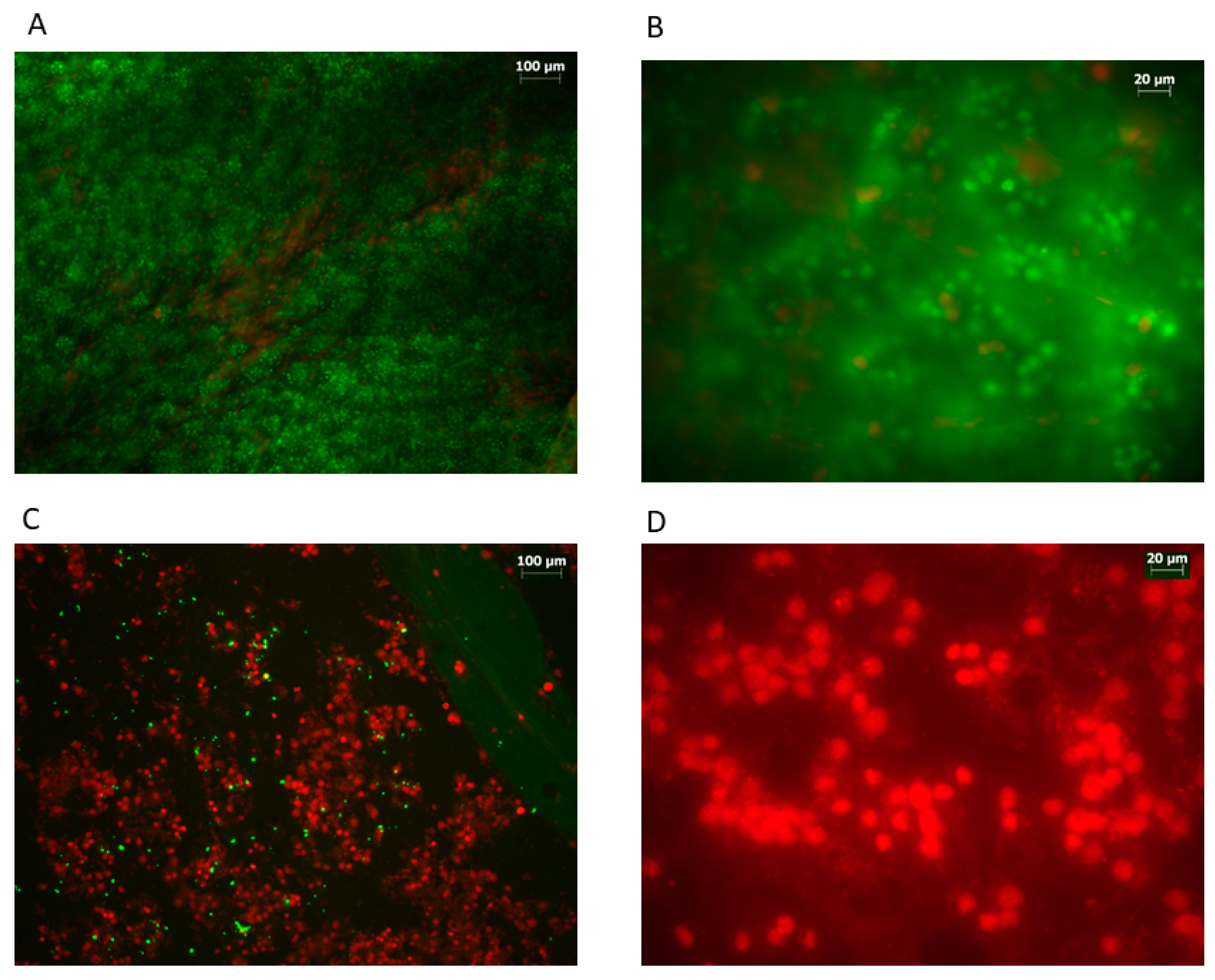 Applsci 13 04957 g001 Applsci 13 04957 g001